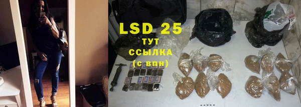 ПСИЛОЦИБИНОВЫЕ ГРИБЫ Бородино