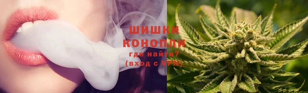 ПСИЛОЦИБИНОВЫЕ ГРИБЫ Бородино