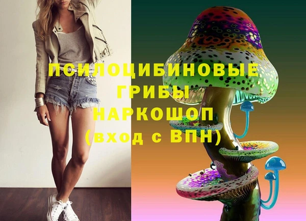 ПСИЛОЦИБИНОВЫЕ ГРИБЫ Бородино