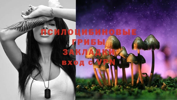 ПСИЛОЦИБИНОВЫЕ ГРИБЫ Бородино