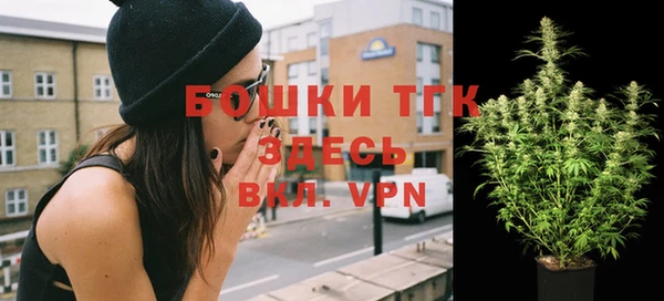 ПСИЛОЦИБИНОВЫЕ ГРИБЫ Бородино