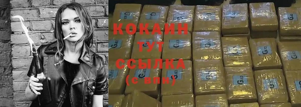ПСИЛОЦИБИНОВЫЕ ГРИБЫ Бородино