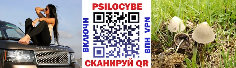 Псилоцибиновые грибы мухоморы  Гулькевичи 